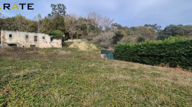 Sevilla - Isla Mayor - 480m2