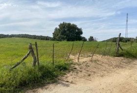 Vejer de la Frontera 30000&nbsp;m² 