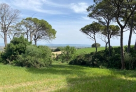 Vejer de la Frontera 30000&nbsp;m² 