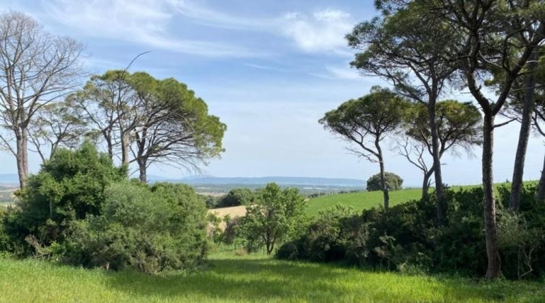 Cádiz - Jerez de la Frontera - 30000m2