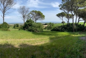 Vejer de la Frontera 30000&nbsp;m² 