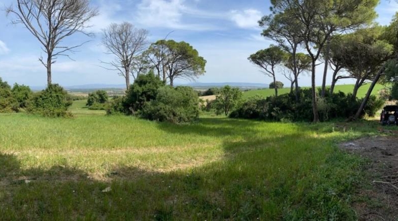 Cádiz - Jerez de la Frontera - 30000m2