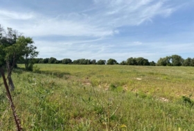 Vejer de la Frontera 30000&nbsp;m² 