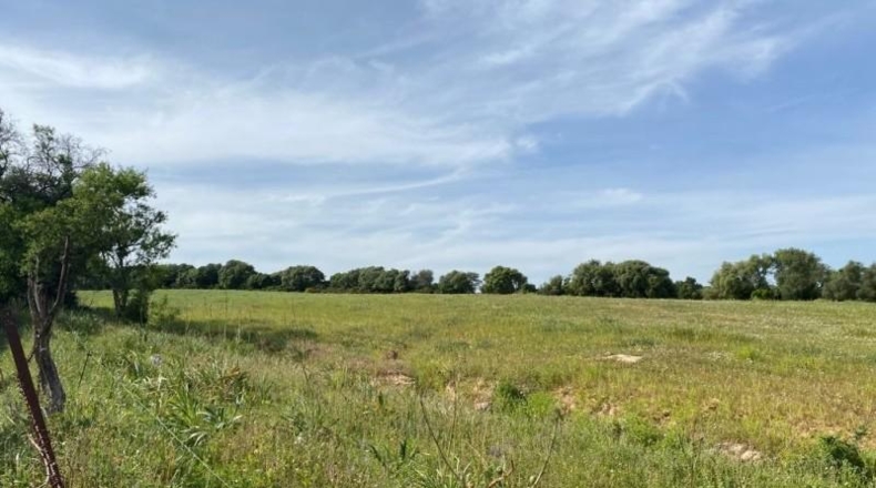 Cádiz - Jerez de la Frontera - 30000m2
