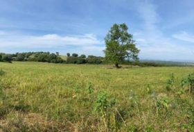 Vejer de la Frontera 30000&nbsp;m² 