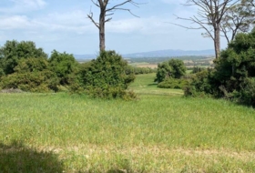 Vejer de la Frontera 30000&nbsp;m² 