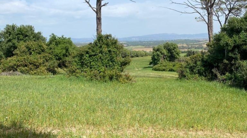 Cádiz - Jerez de la Frontera - 30000m2