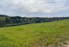 Vejer de la Frontera 30000&nbsp;m² 