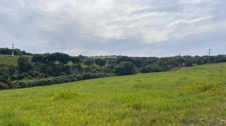 Cádiz - Jerez de la Frontera - 30000m2