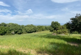 Vejer de la Frontera 30000&nbsp;m² 