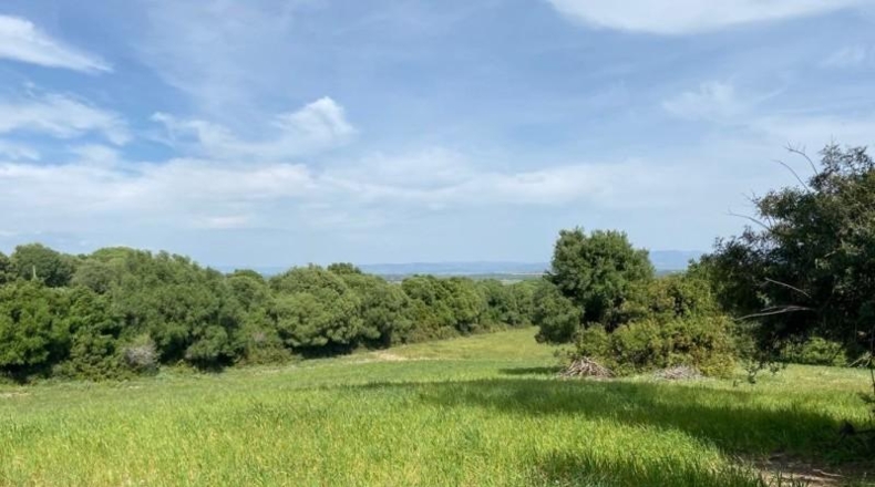 Cádiz - Jerez de la Frontera - 30000m2