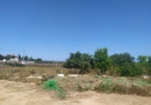 Casa de camp amb terreny en venda a la España, Los Montesinos, ref.: TR397924 foto