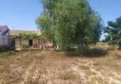 Casa de camp amb terreny en venda a la España, Los Montesinos, ref.: TR397924 foto