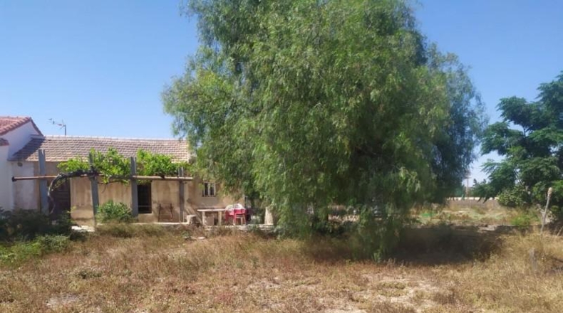 Almeria - Serón - 11930m2