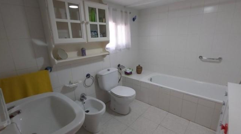 Murcia - Cartagena - 10000m2