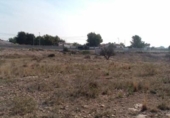 Sòl urbà en venda a la España, Sant Vicent del Raspeig, ref.: TR397806 foto