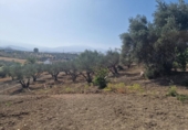 Terreny amb magatzem en venda a la España, Coín, ref.: TR399613 foto
