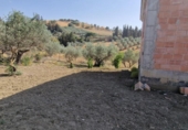 Terreny amb magatzem en venda a la España, Coín, ref.: TR399613 foto