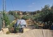 Terreny amb magatzem en venda a la España, Coín, ref.: TR399613 foto
