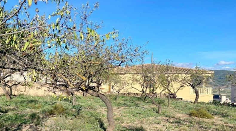 Castellón - Artana - 1299m2