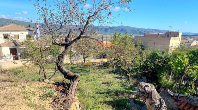 Castellón - Artana - 1299m2