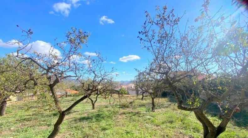Castellón - Artana - 1299m2