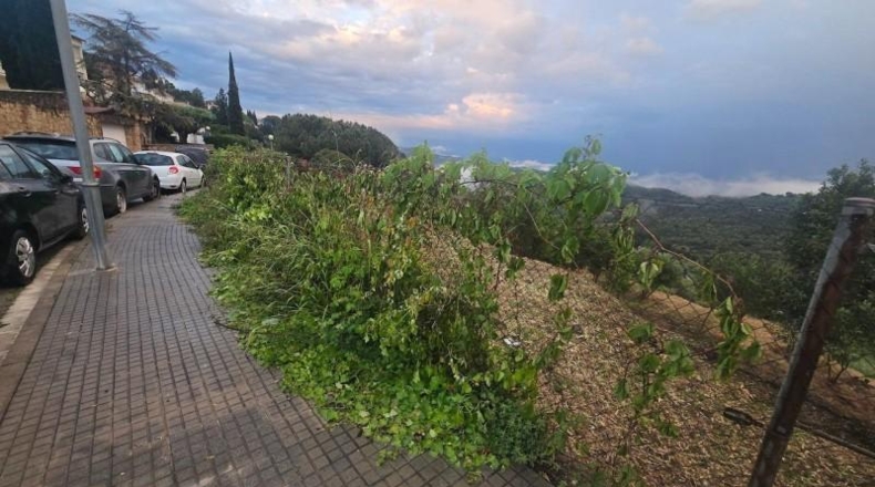Barcelona - Sant Feliu de Codines - 1100m2