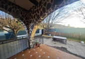 Detached villa with land for sale on España, Tornavacas, ref: TR383878 photo