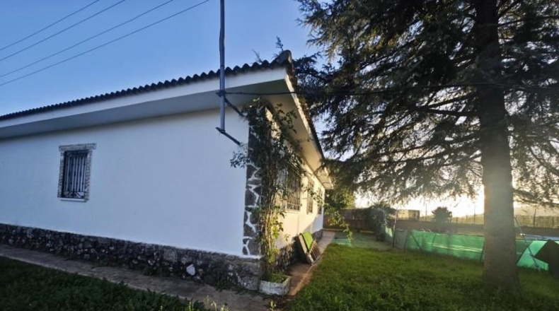 Cáceres - Cabrero - 1249m2