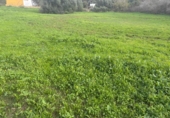 Terreny no urbanitzable en venda a la España, Vejer de la Frontera, ref.: TR385719 foto