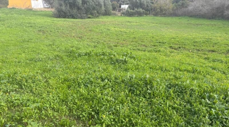 Cádiz - Vejer de la Frontera - 4000m2