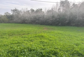 Vejer de la Frontera 4000&nbsp;m² 