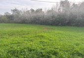 Terreny no urbanitzable en venda a la España, Vejer de la Frontera, ref.: TR385719 foto
