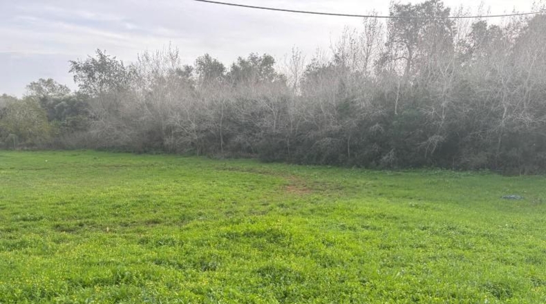 Cádiz - Vejer de la Frontera - 4000m2