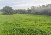 Terreny no urbanitzable en venda a la España, Vejer de la Frontera, ref.: TR385719 foto