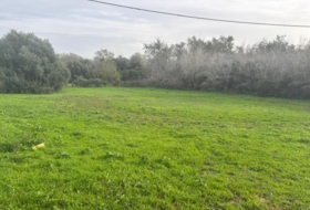 Vejer de la Frontera 4000&nbsp;m² 