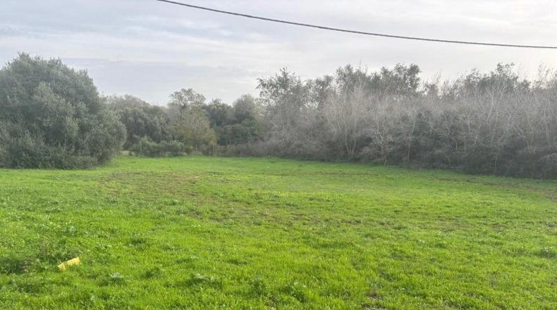 Cádiz - Vejer de la Frontera - 4000m2