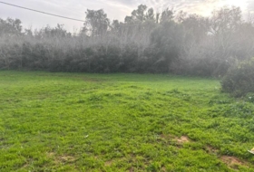 Vejer de la Frontera 4000&nbsp;m² 