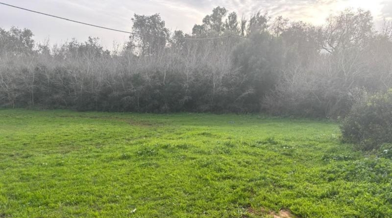 Cádiz - Vejer de la Frontera - 4000m2