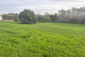 Vejer de la Frontera 4000&nbsp;m² 