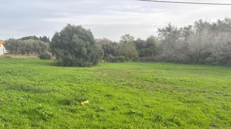 Cádiz - Vejer de la Frontera - 4000m2