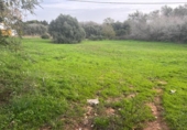 Terreny no urbanitzable en venda a la España, Vejer de la Frontera, ref.: TR385719 foto