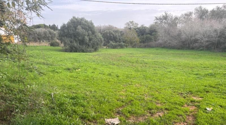 Cádiz - Vejer de la Frontera - 4000m2