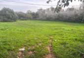 Terreny no urbanitzable en venda a la España, Vejer de la Frontera, ref.: TR385719 foto