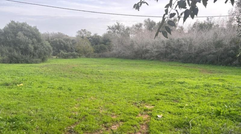 Cádiz - Vejer de la Frontera - 4000m2