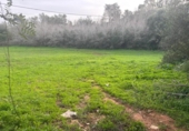 Terreny no urbanitzable en venda a la España, Vejer de la Frontera, ref.: TR385719 foto
