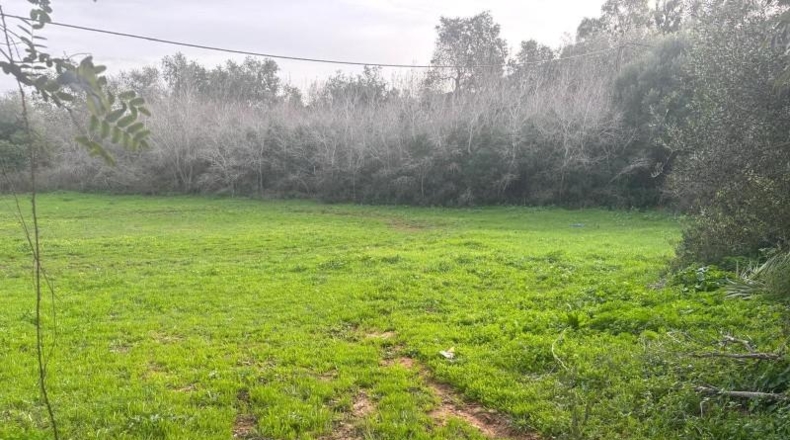 Cádiz - Vejer de la Frontera - 4000m2