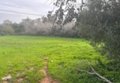 Terreny no urbanitzable en venda a la España, Vejer de la Frontera, ref.: TR385719 foto
