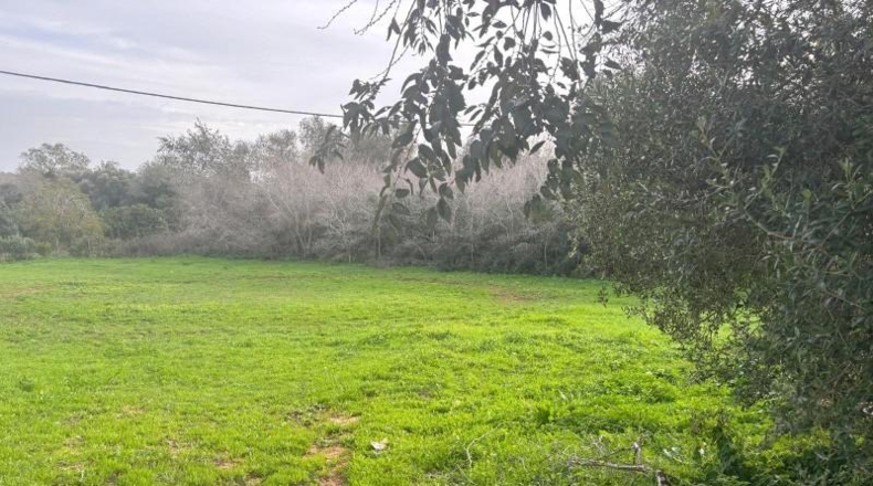 Cádiz - Vejer de la Frontera - 4000m2
