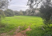 Terreny no urbanitzable en venda a la España, Vejer de la Frontera, ref.: TR385719 foto